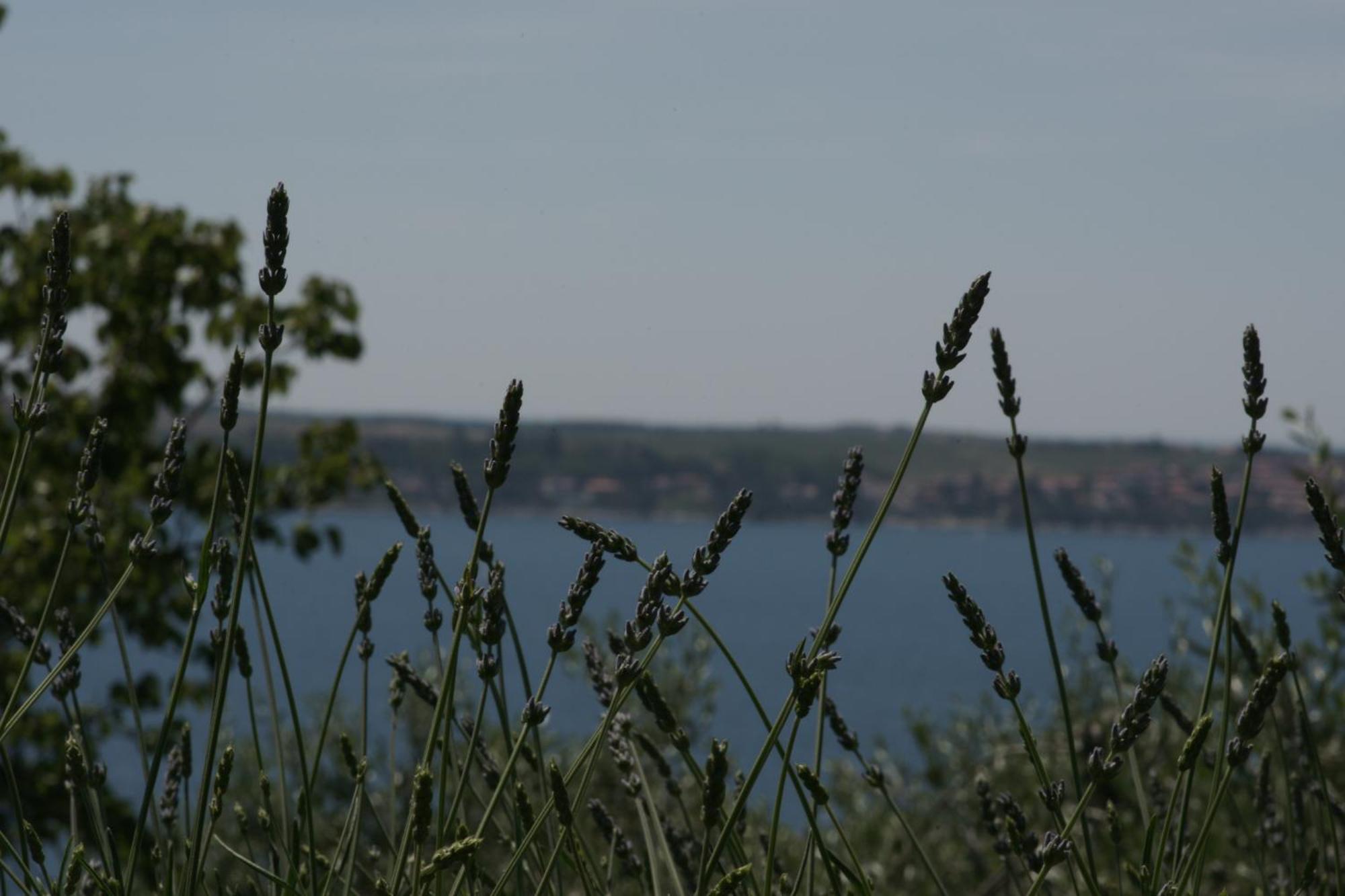 Apartments Hafner Portorož Exterior foto